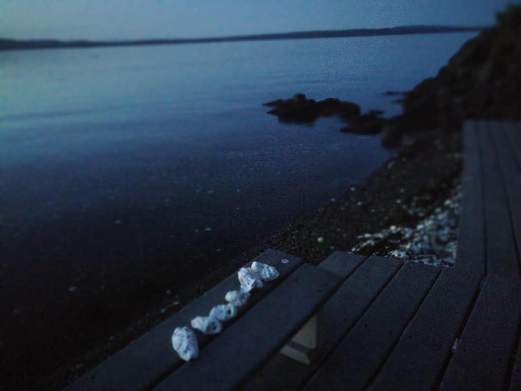 Vancouver Island Castle Cove Inn Чемейнус Экстерьер фото